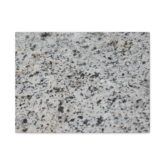 Speckled Silence - Unique Frameless Canvas Wall Art - Art By Earth