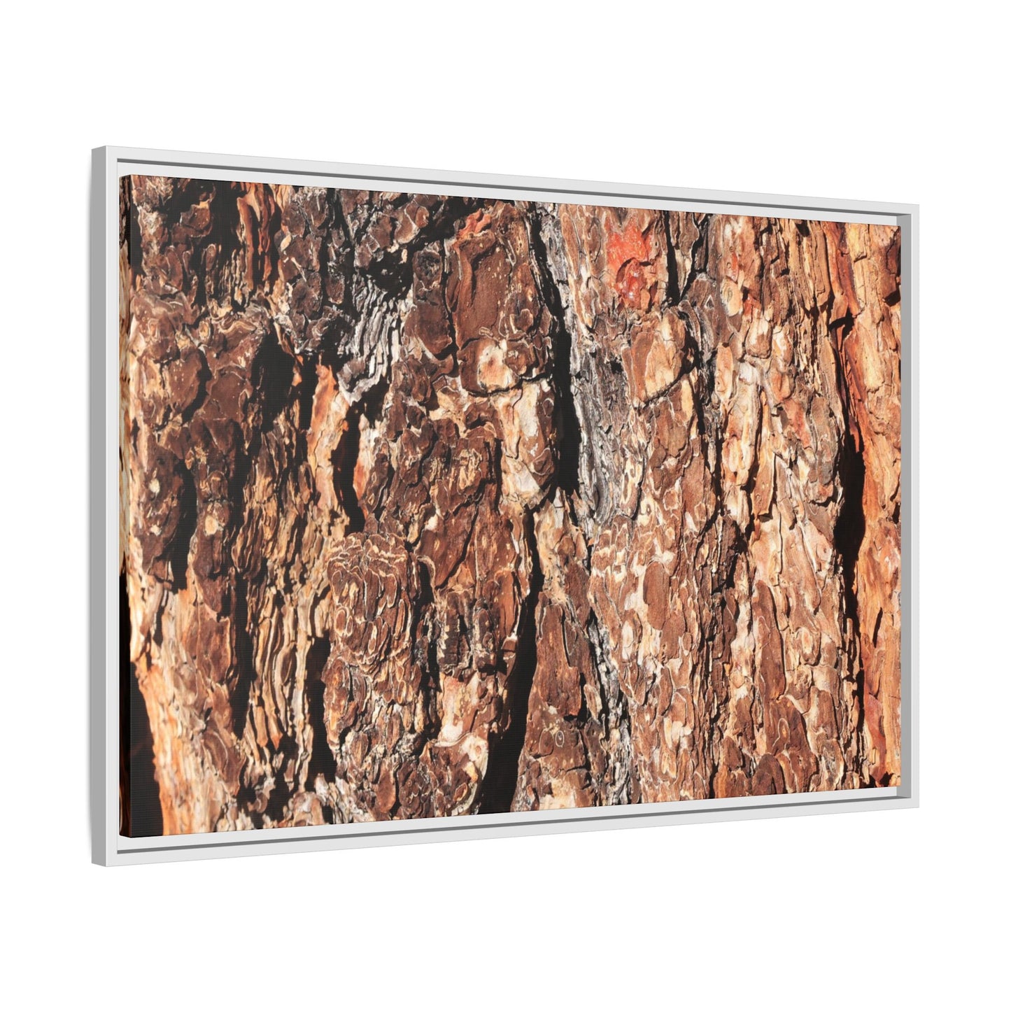 Nature's Rugged Canvas - Unique Stretched Canvas Wall Art