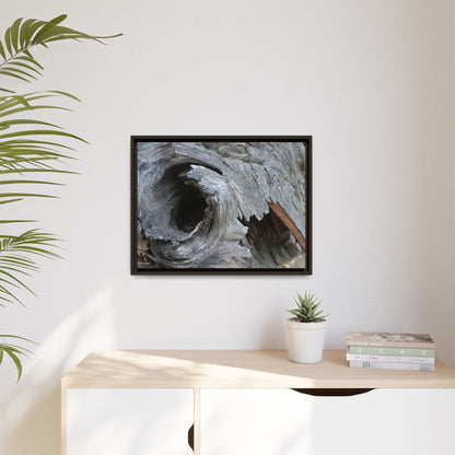 Bark's Labyrinth - Unique Stretched Canvas Wall Art - Art By Earth