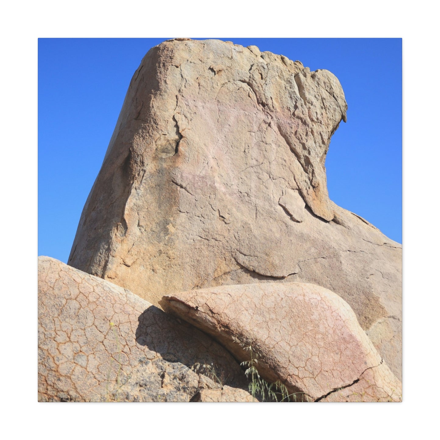 Boulder's Embrace - Unique Frameless Canvas Wall Art - Art By Earth