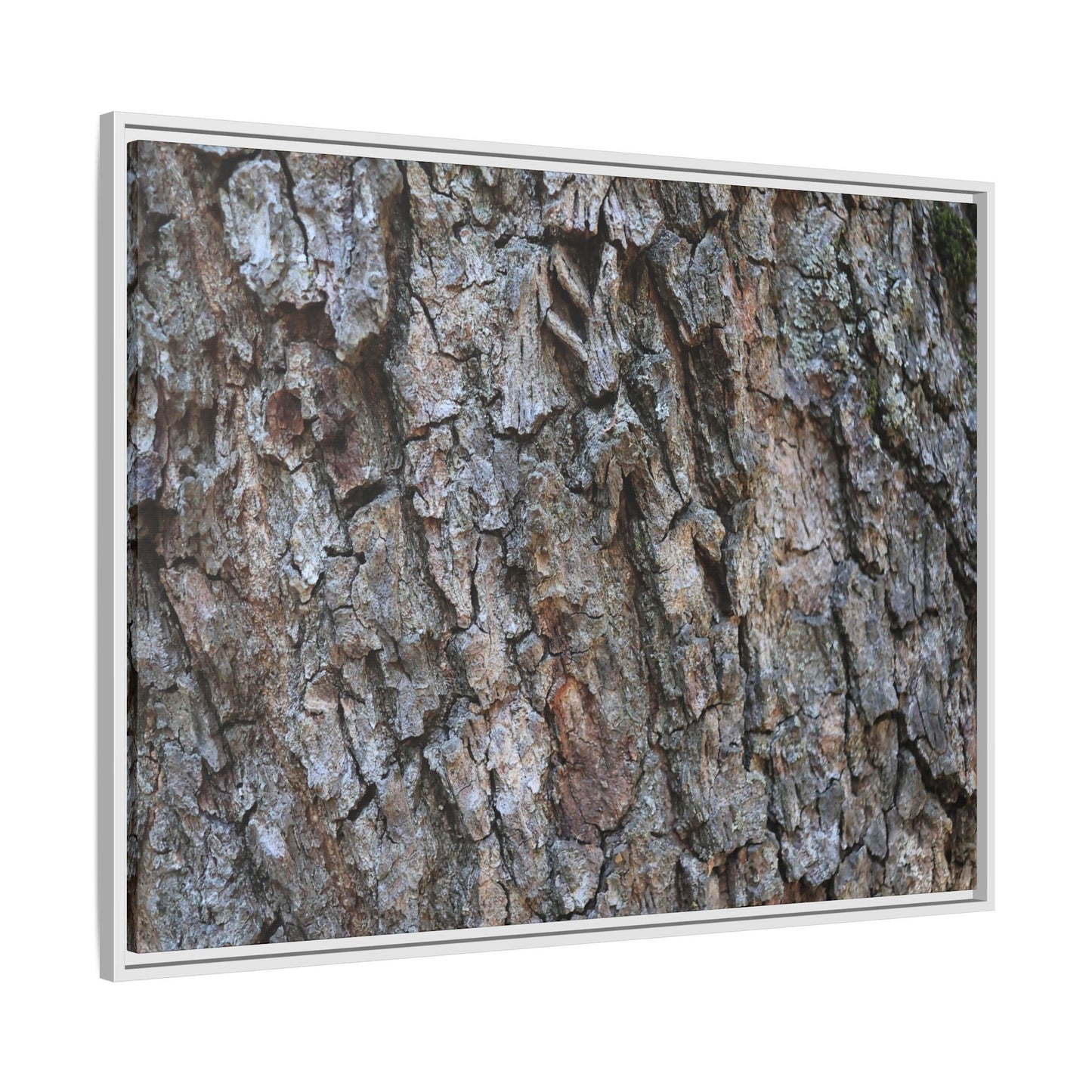Woodland Skin - Unique Stretched Canvas Wall Art - Art By Earth