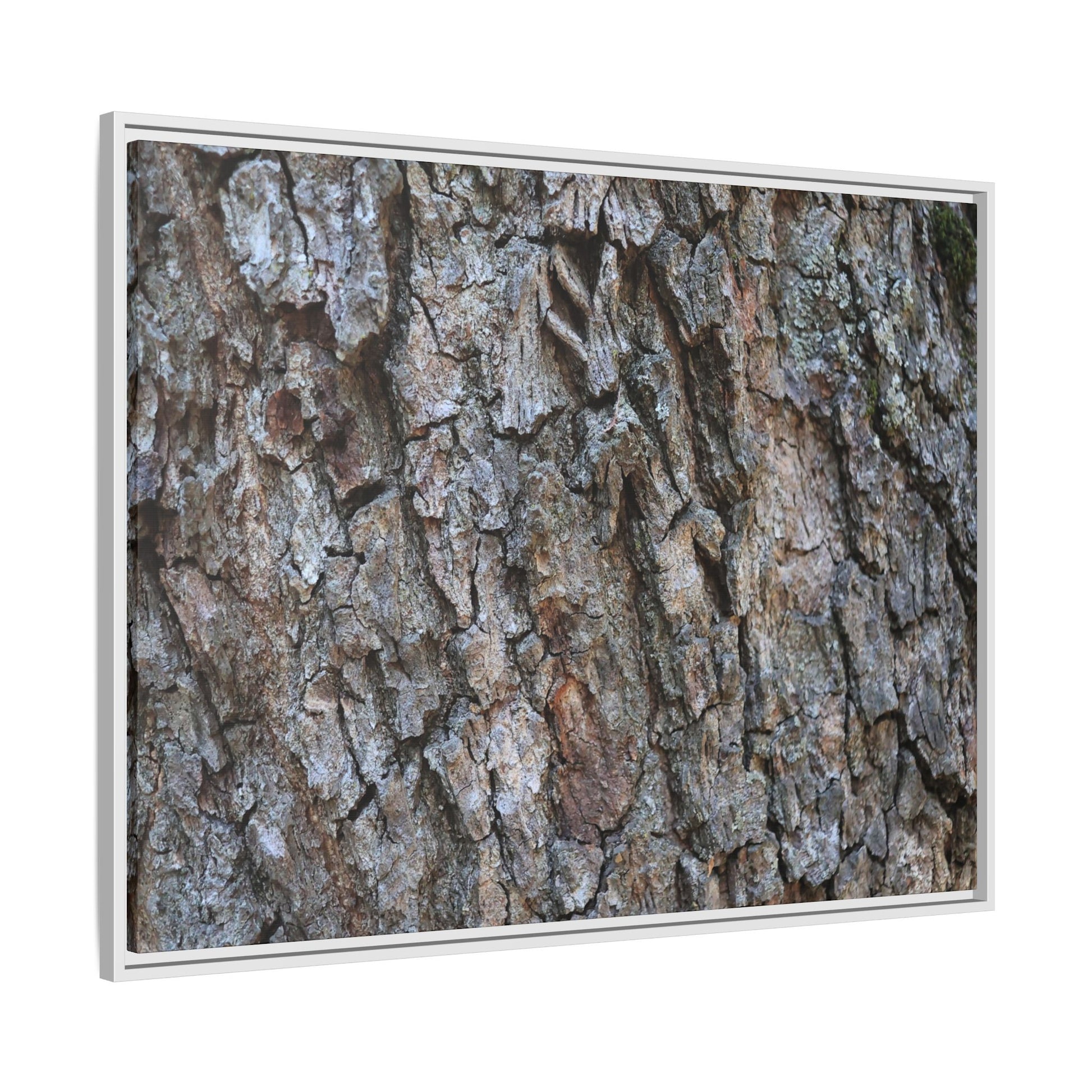 Woodland Skin - Unique Stretched Canvas Wall Art - Art By Earth