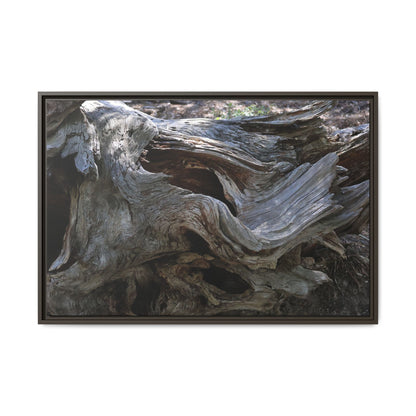 Twisted Memories - Unique Stretched Canvas Wall Art - Art By Earth