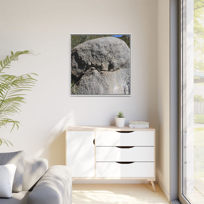 Stone Skull in Desert - Unique Stretched Canvas Wall Art
