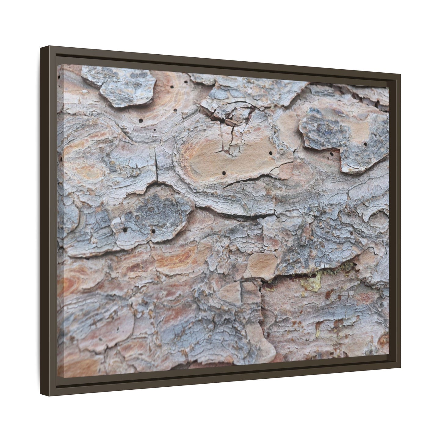 Peeling Memories - Unique Stretched Canvas Wall Art - Art By Earth