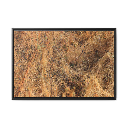 Dried Vegetation Study - Unique Stretched Canvas Wall Art - Art By Earth