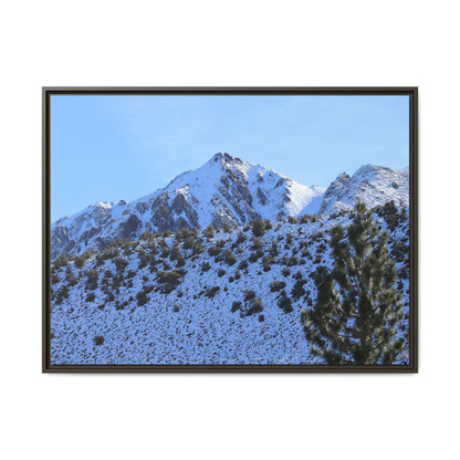 Snow's Embrace - Unique Stretched Canvas Wall Art
