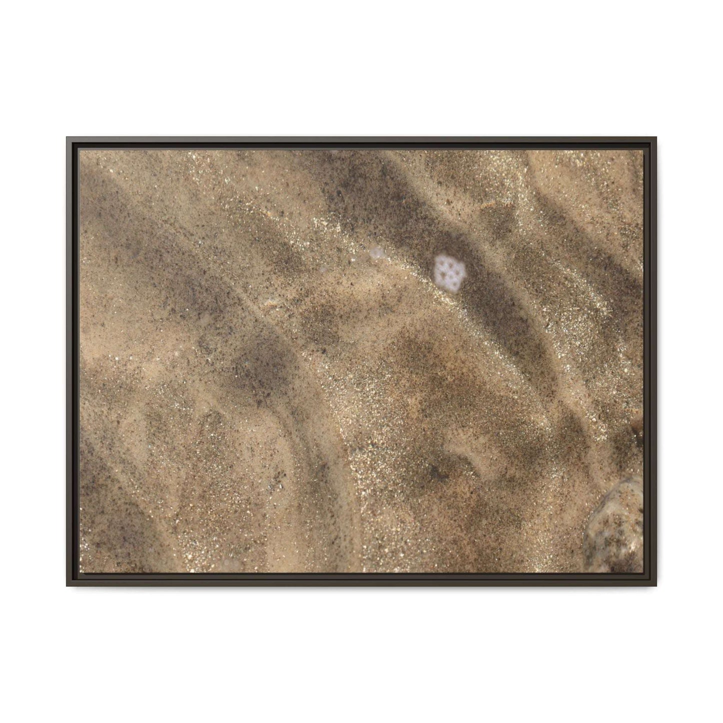 Underwater Sand Exploration - Unique Stretched Canvas Wall Art - Art By Earth
