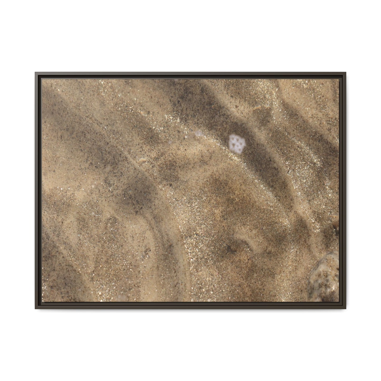 Underwater Sand Exploration - Unique Stretched Canvas Wall Art - Art By Earth
