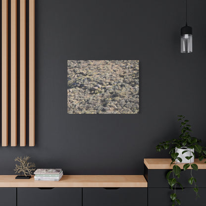 Desert Landscape with Scattered Rocks and Sage - Unique Frameless Canvas Wall Art - Art By Earth