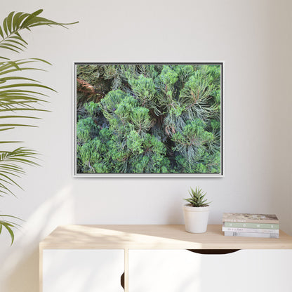 Verdant Whispers - Unique Stretched Canvas Wall Art - Art By Earth