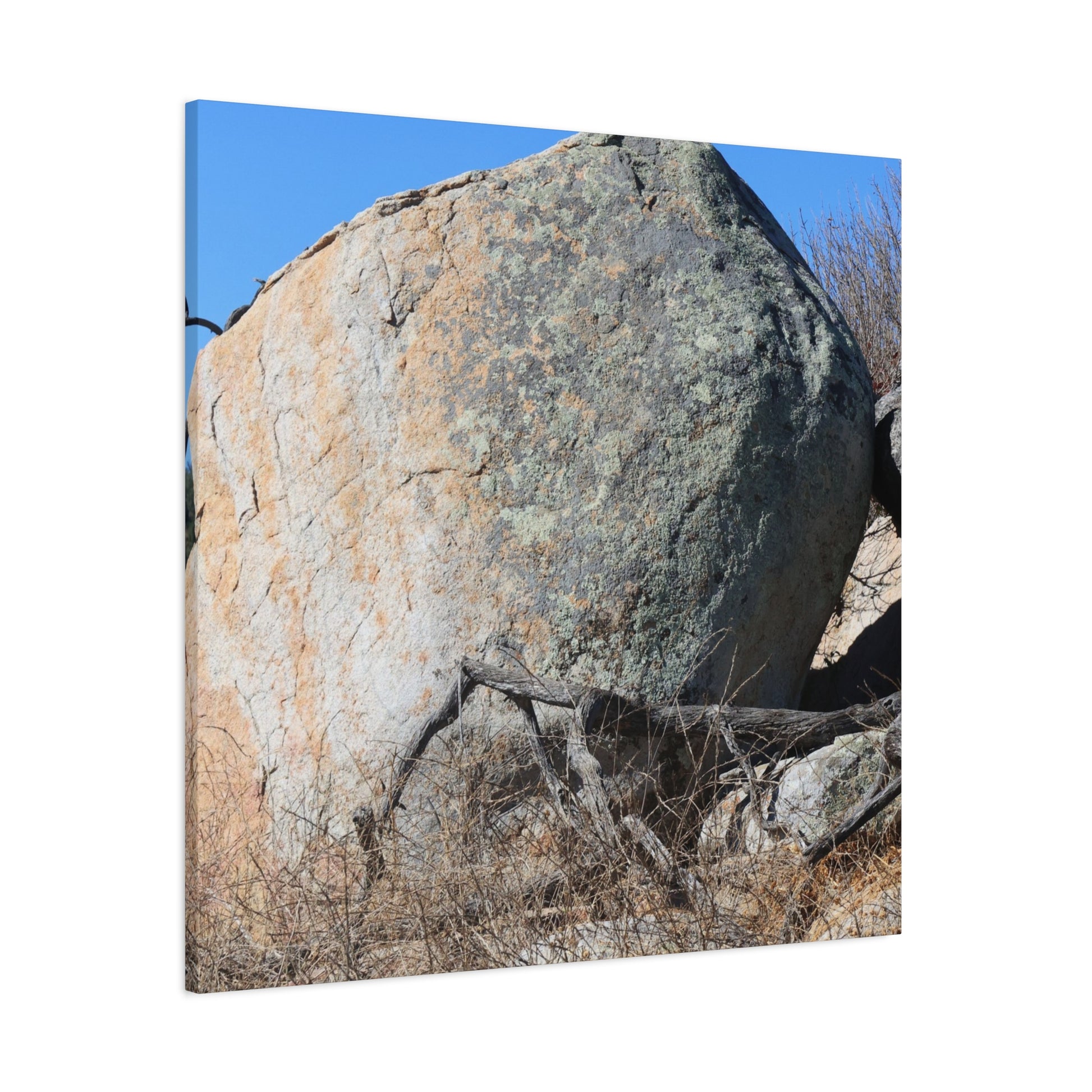 Boulder's Solitude - Unique Stretched Canvas Wall Art - Art By Earth