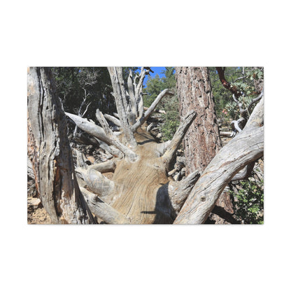 Twisted Roots - Unique Frameless Canvas Wall Art