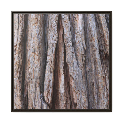 Nature's Sculpture - Unique Stretched Canvas Wall Art - Art By Earth