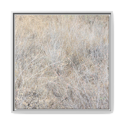 Whispers of Dry Grass - Unique Stretched Canvas Wall Art - Art By Earth