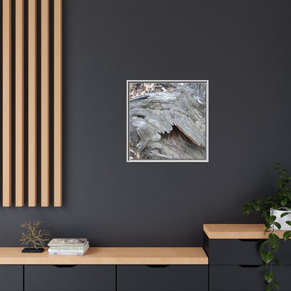Driftwood Dreams - Unique Stretched Canvas Wall Art - Art By Earth