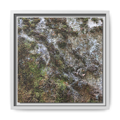 Mossy Whispers - Unique Stretched Canvas Wall Art - Art By Earth