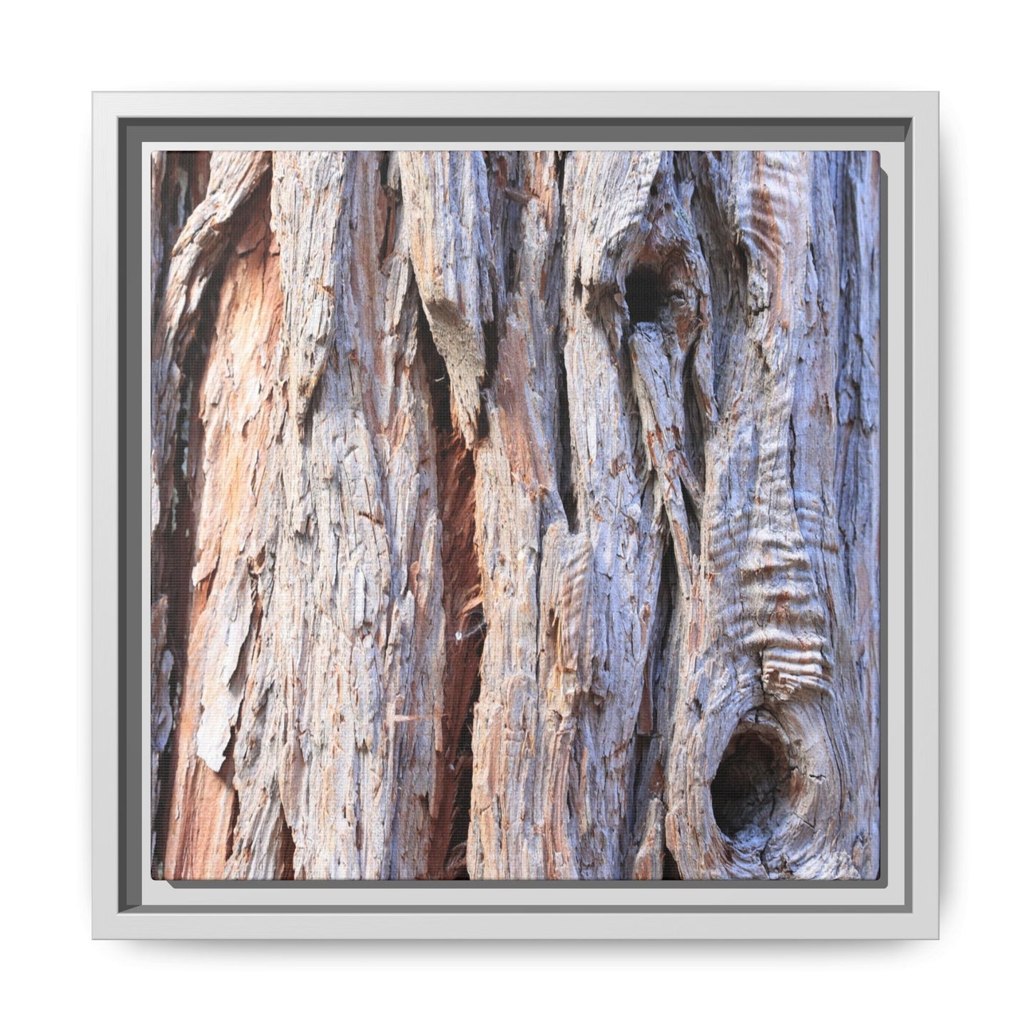 Nature's Grain - Unique Stretched Canvas Wall Art - Art By Earth