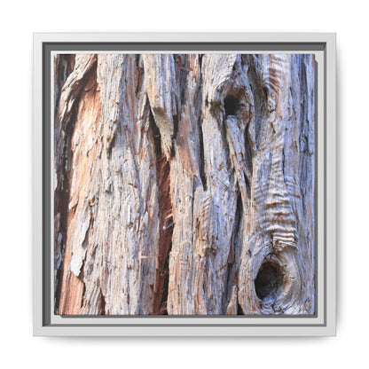 Nature's Grain - Unique Stretched Canvas Wall Art - Art By Earth