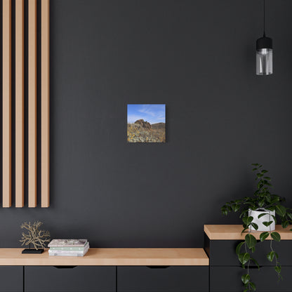 Desert Bloom - Unique Frameless Canvas Wall Art - Art By Earth