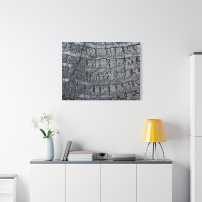 Whispers of Age - Unique Frameless Canvas Wall Art - Art By Earth
