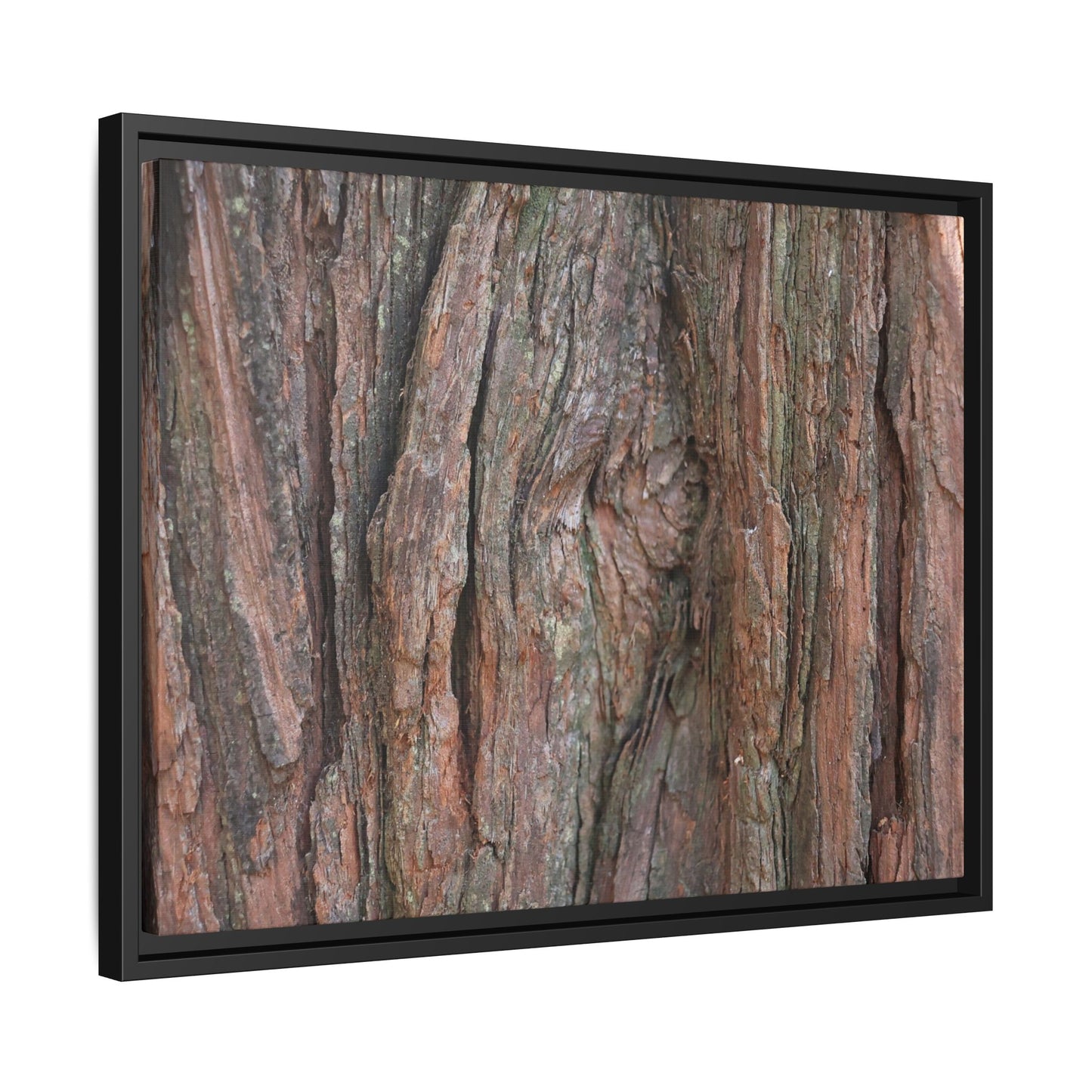 Rugged Textures - Unique Stretched Canvas Wall Art - Art By Earth