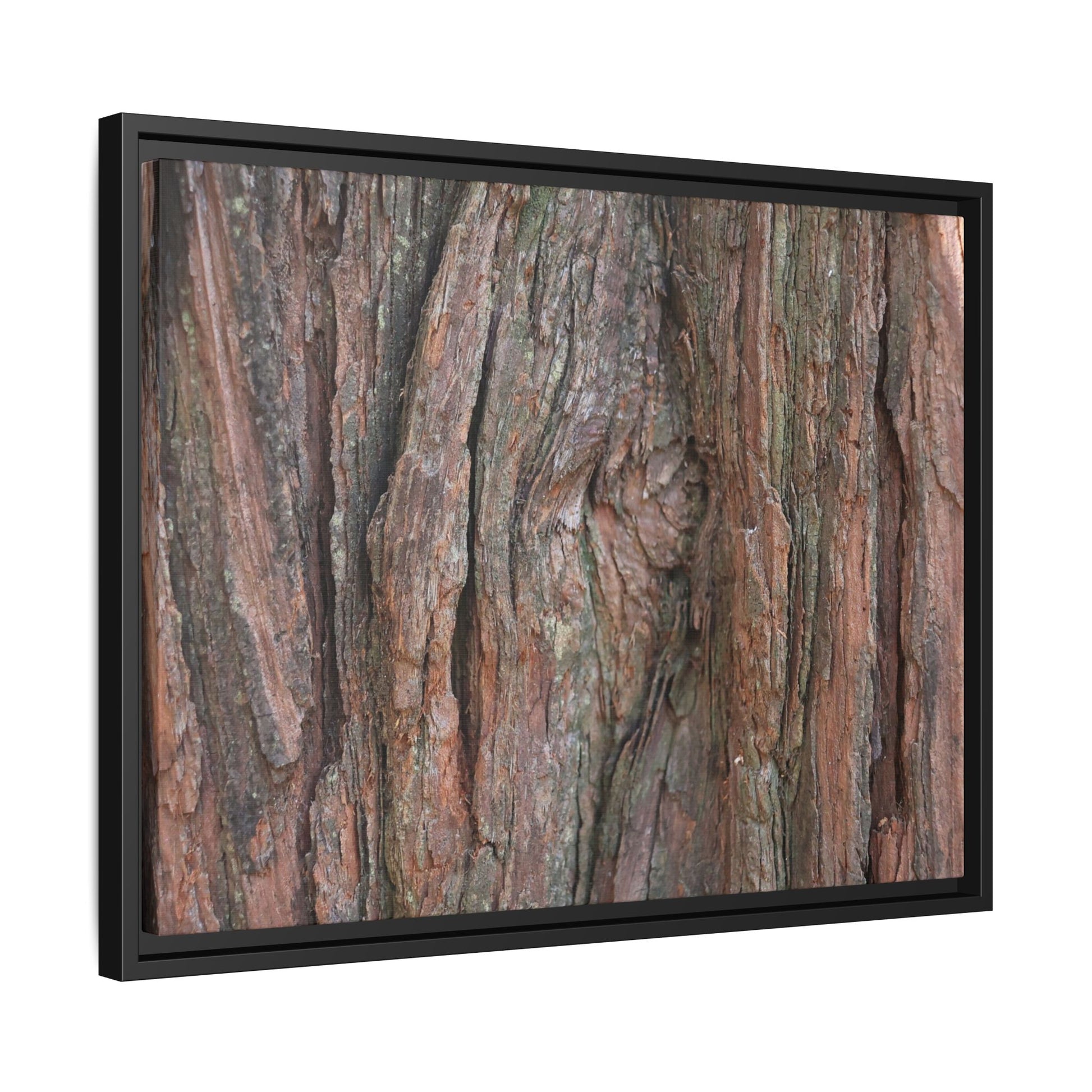 Rugged Textures - Unique Stretched Canvas Wall Art - Art By Earth