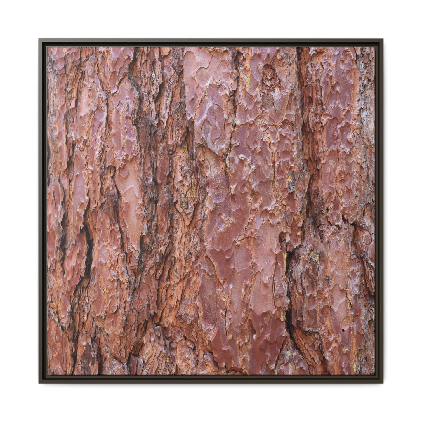 Russet Ridges - Unique Stretched Canvas Wall Art - Art By Earth