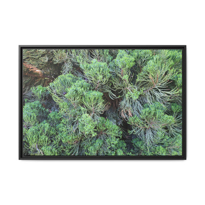 Verdant Whispers - Unique Stretched Canvas Wall Art - Art By Earth