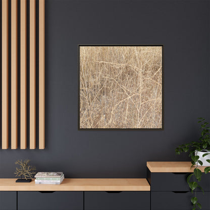 Golden Stalks - Unique Stretched Canvas Wall Art - Art By Earth