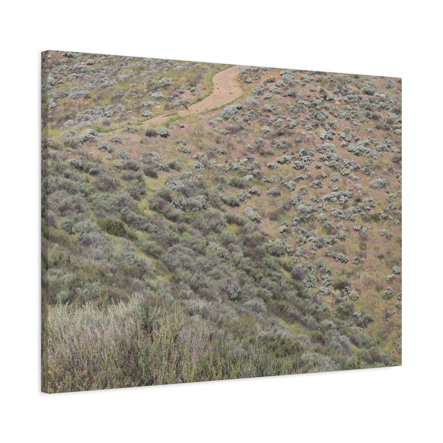 Desert Path Through Sagebrush - Unique Frameless Canvas Wall Art - Art By Earth