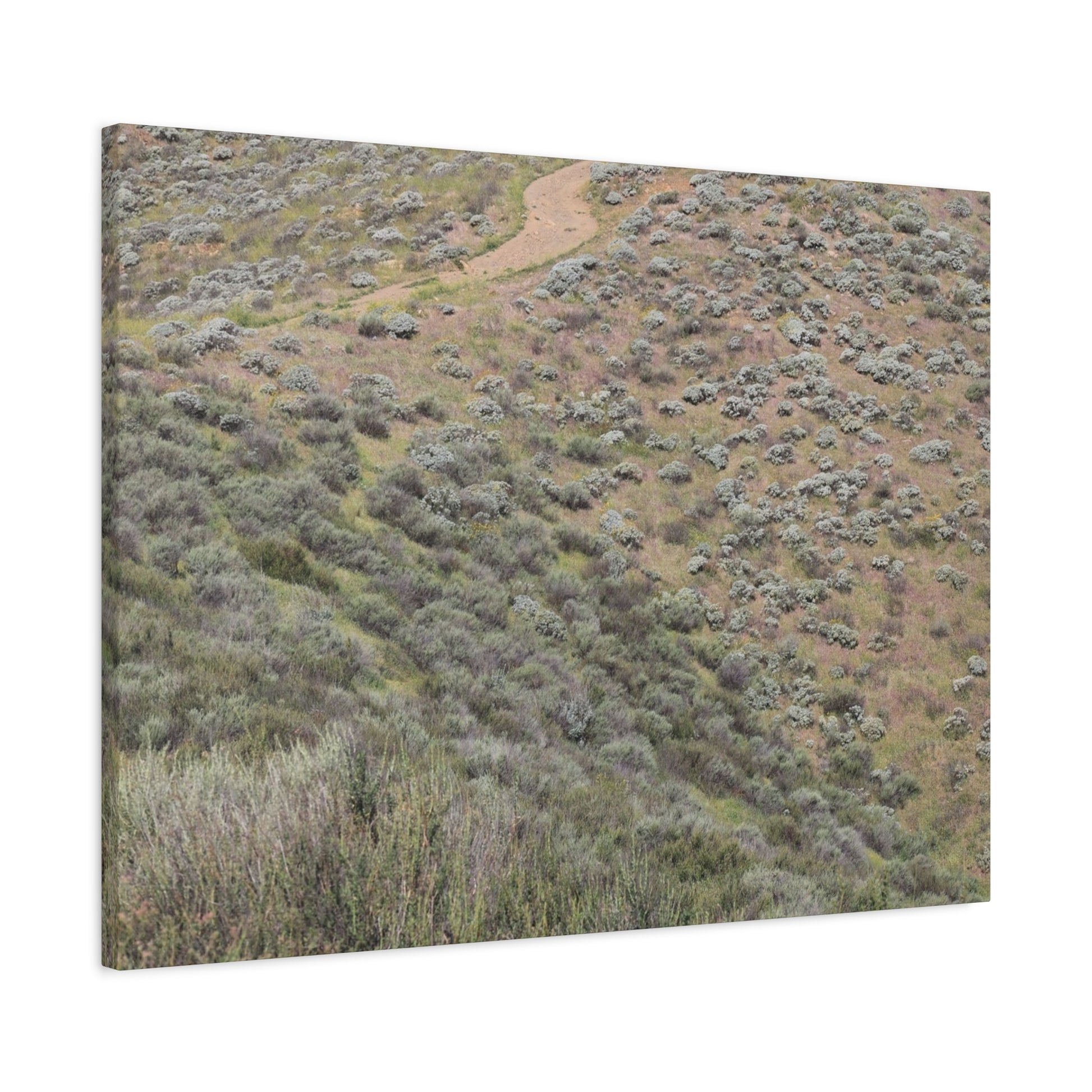 Desert Path Through Sagebrush - Unique Frameless Canvas Wall Art - Art By Earth