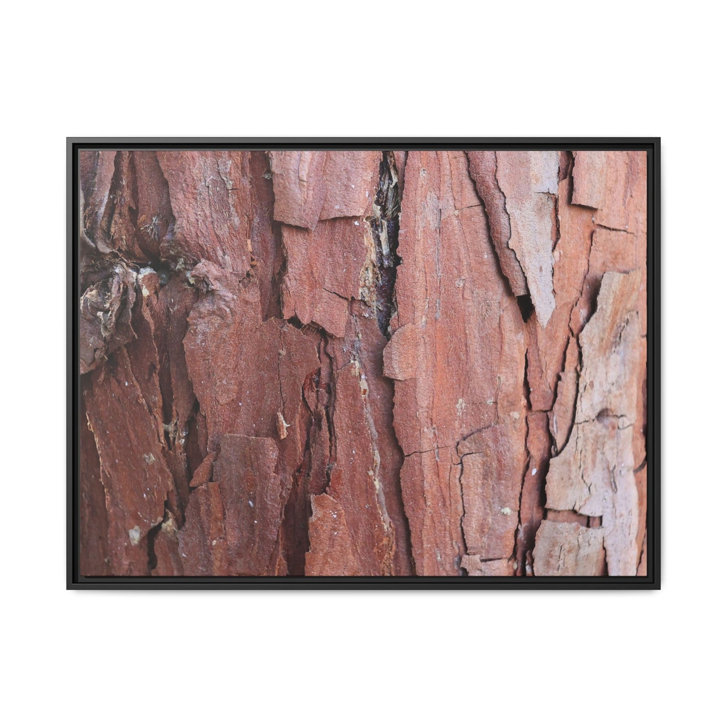 Rusted Memories - Unique Stretched Canvas Wall Art - Art By Earth