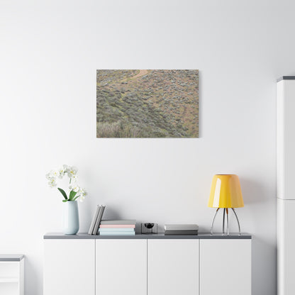 Desert Path Through Sagebrush - Unique Frameless Canvas Wall Art - Art By Earth
