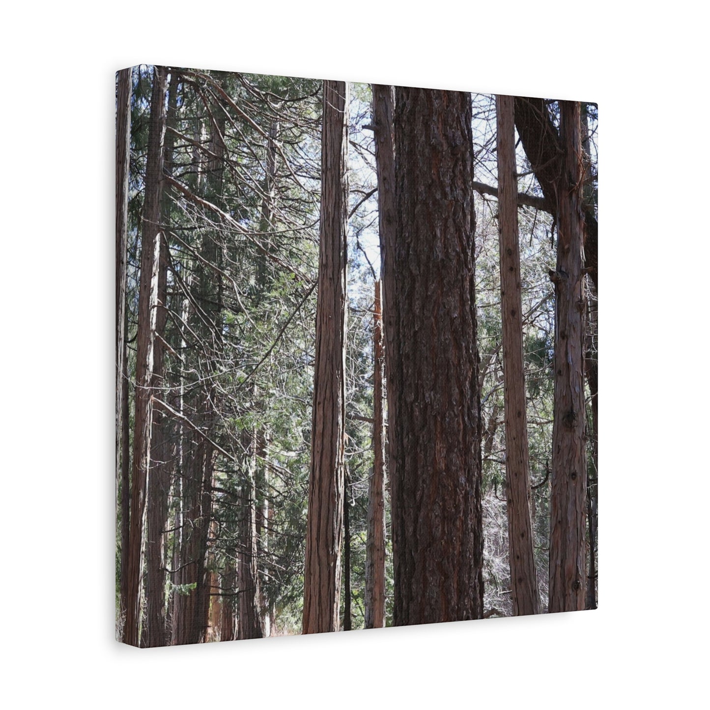 Vertical Sentinels - Unique Frameless Canvas Wall Art - Art By Earth