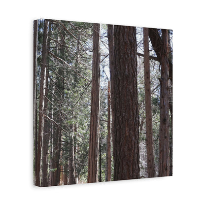 Vertical Sentinels - Unique Frameless Canvas Wall Art - Art By Earth