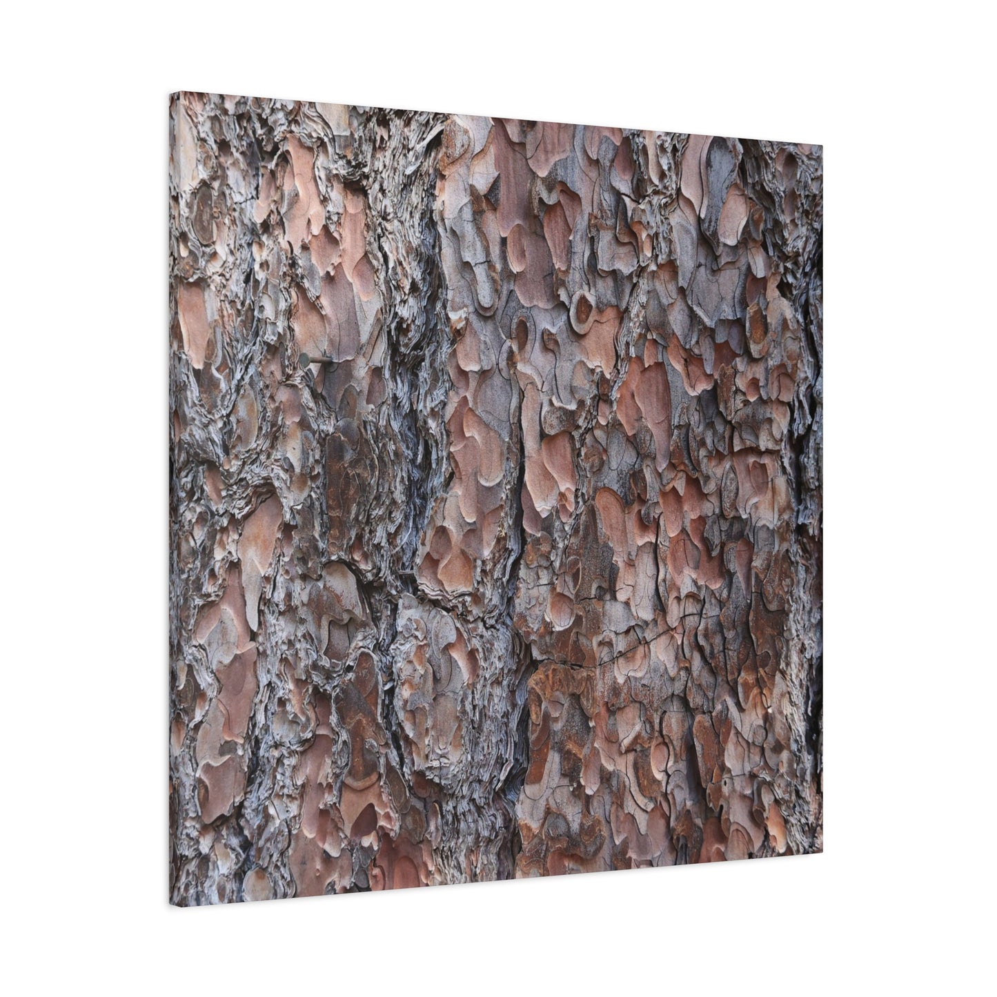 Woodland Armor - Unique Frameless Canvas Wall Art - Art By Earth