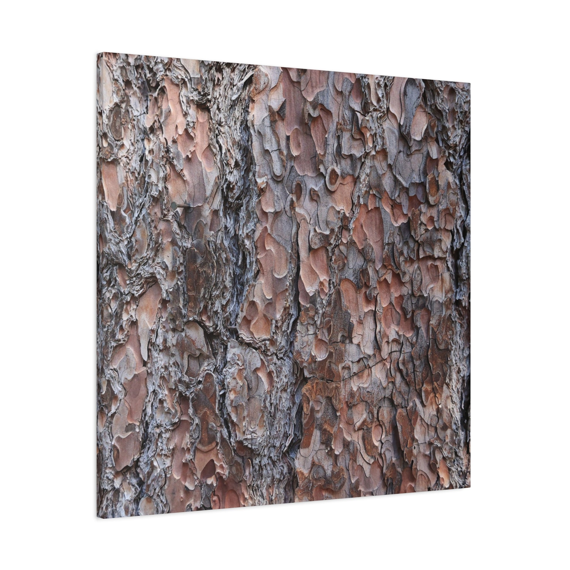 Woodland Armor - Unique Frameless Canvas Wall Art - Art By Earth
