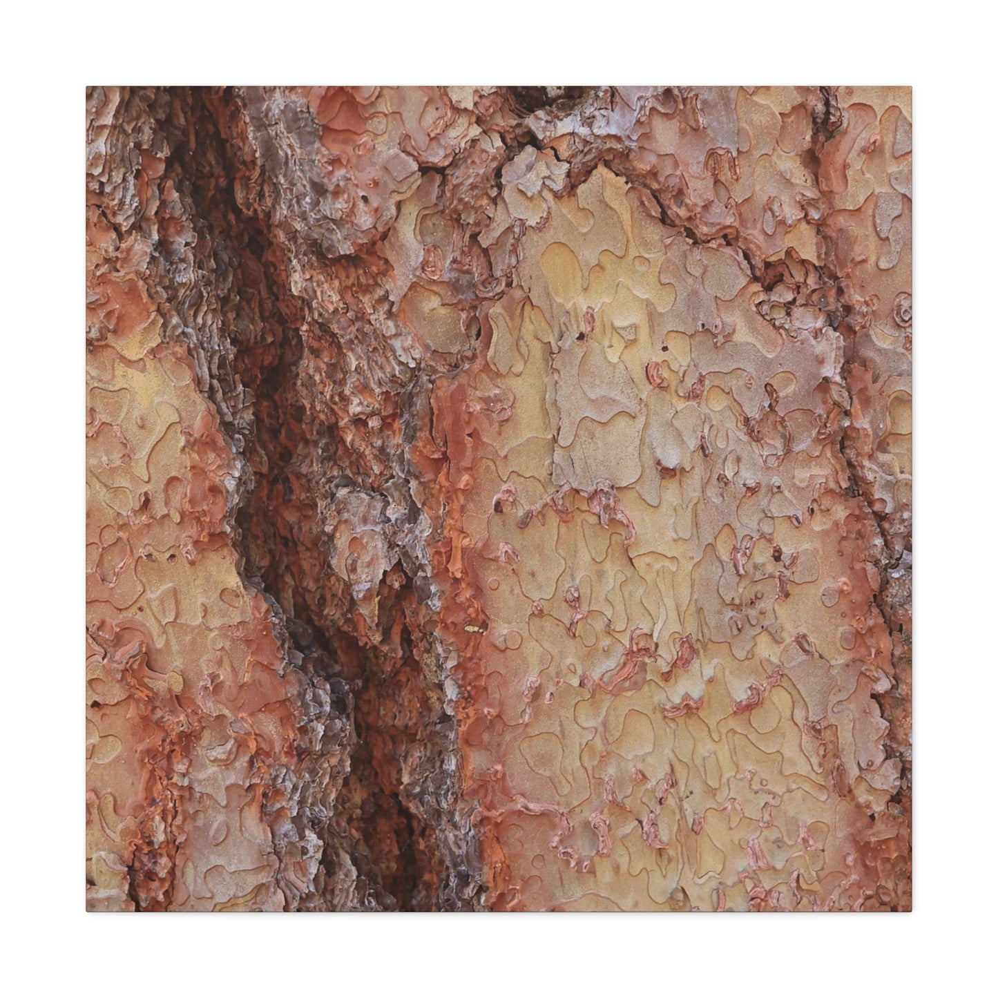 Arboreal Secrets - Unique Frameless Canvas Wall Art - Art By Earth