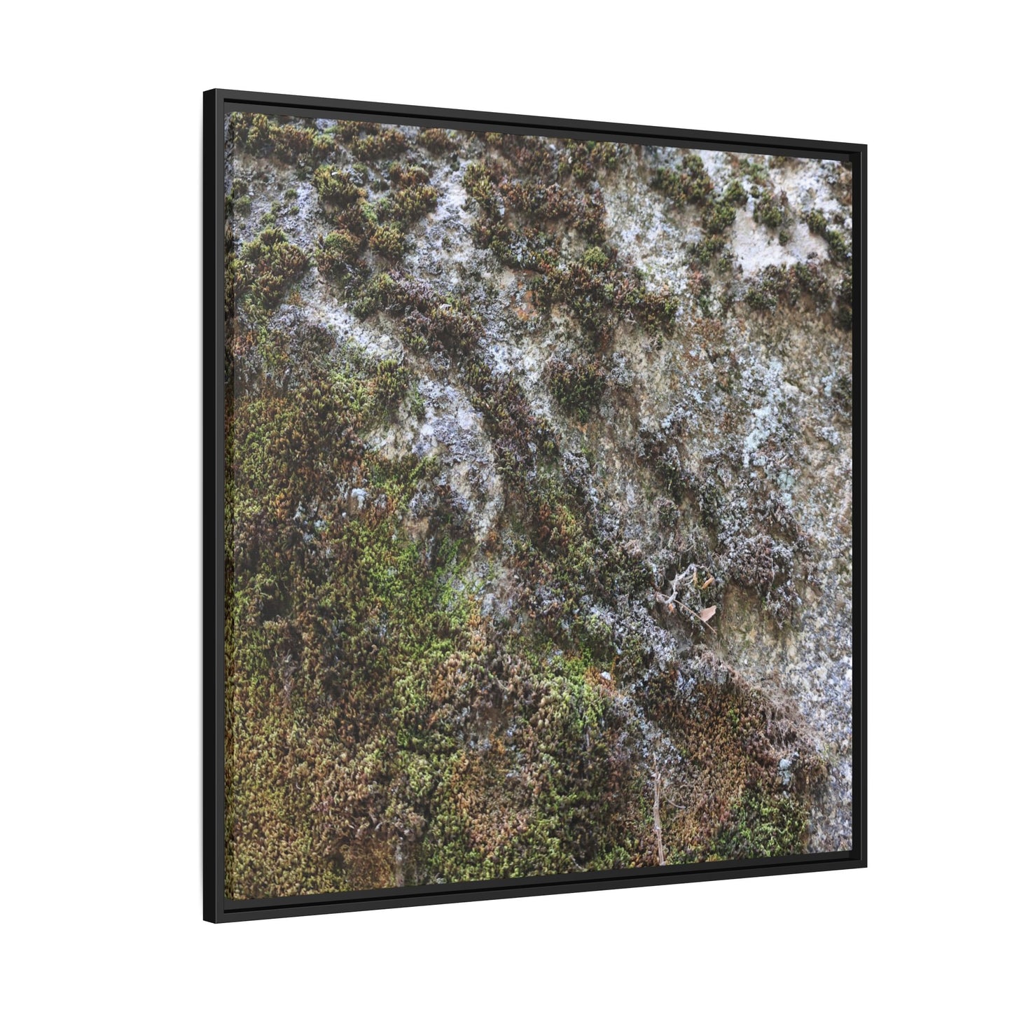 Mossy Whispers - Unique Stretched Canvas Wall Art - Art By Earth