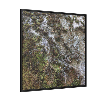 Mossy Whispers - Unique Stretched Canvas Wall Art - Art By Earth