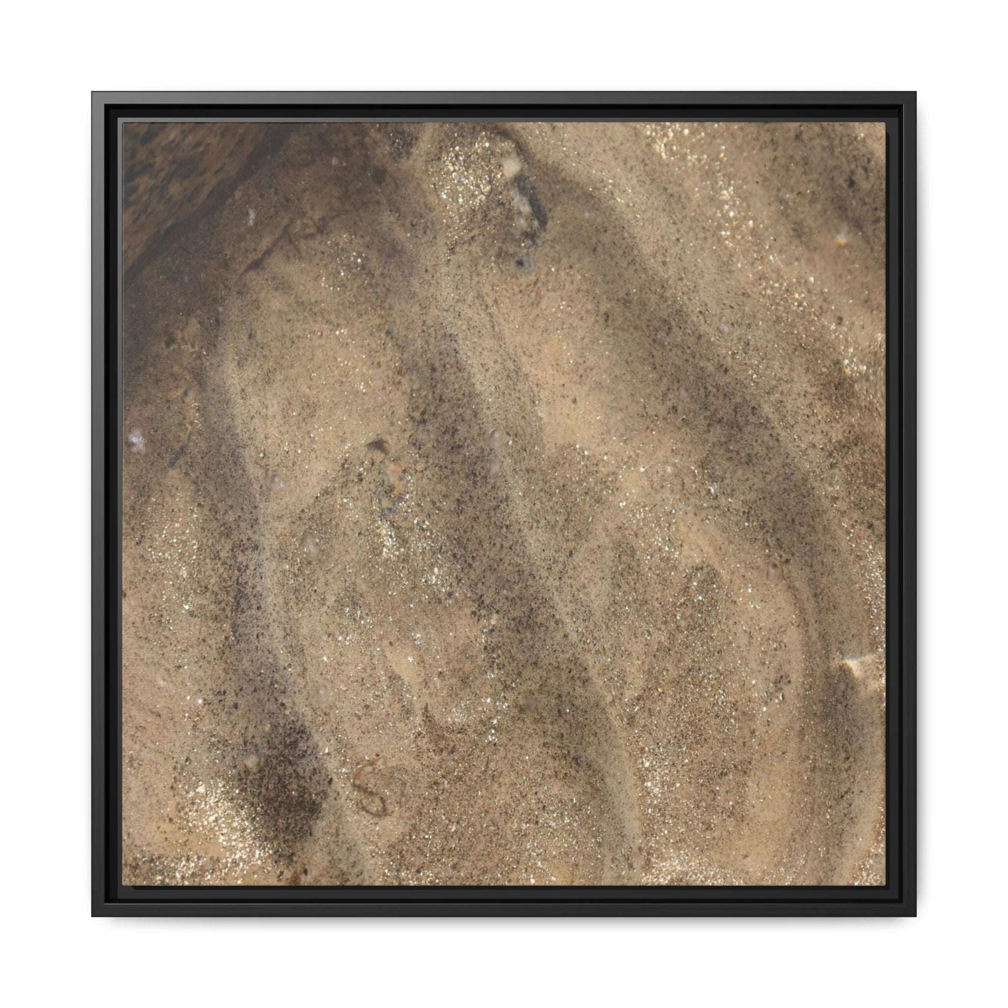 Tidal Pool Secrets - Unique Stretched Canvas Wall Art - Art By Earth