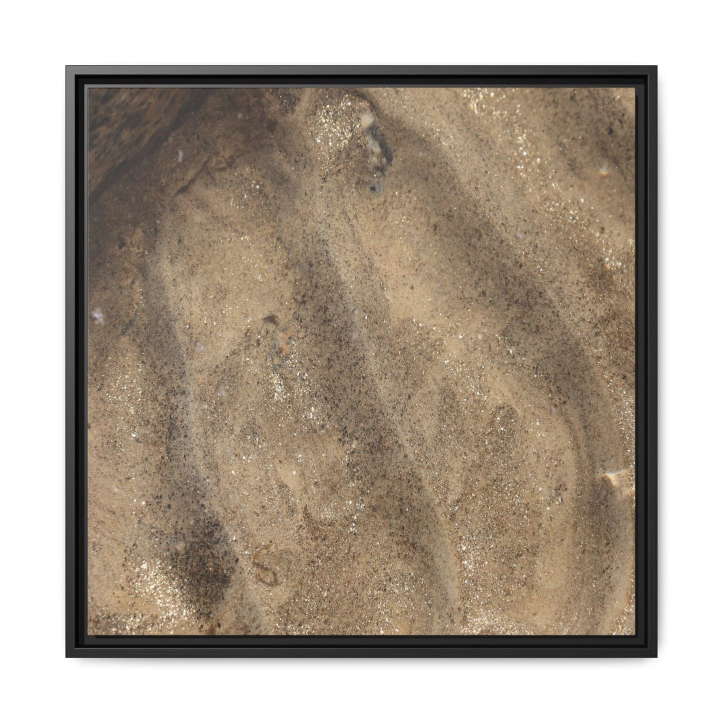 Tidal Pool Secrets - Unique Stretched Canvas Wall Art - Art By Earth