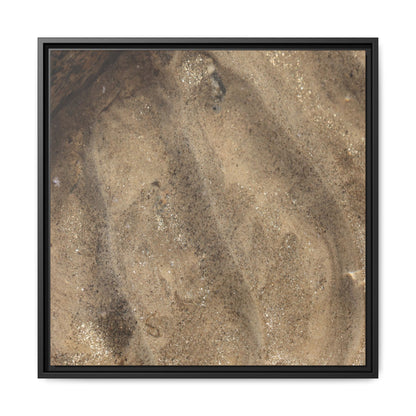 Tidal Pool Secrets - Unique Stretched Canvas Wall Art - Art By Earth