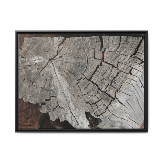 Time's Signature - Unique Stretched Canvas Wall Art - Art By Earth