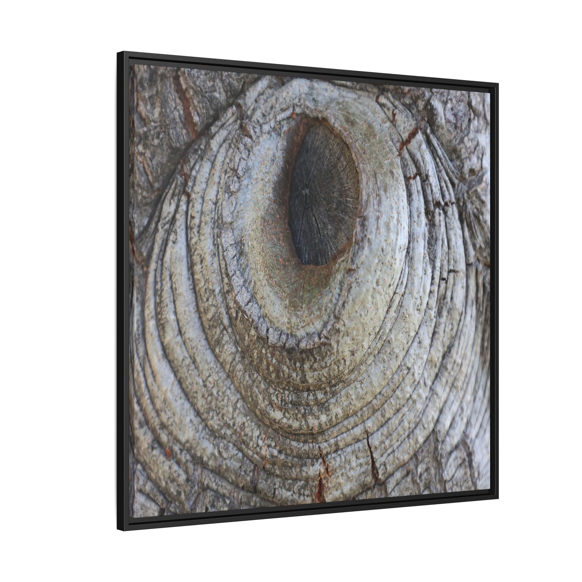 Echoes of Time - Unique Stretched Canvas Wall Art - Art By Earth