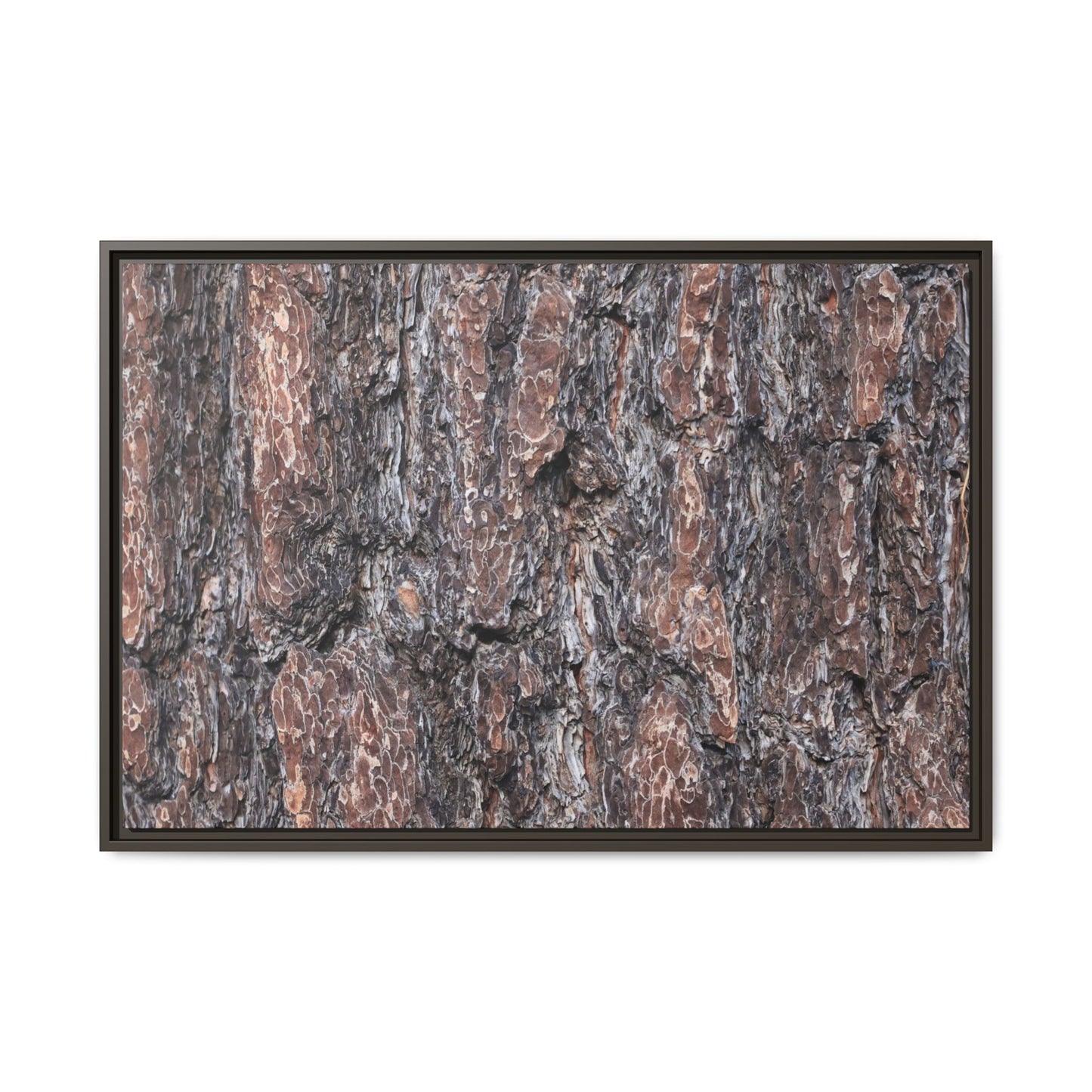 Echoes of Wood - Unique Stretched Canvas Wall Art