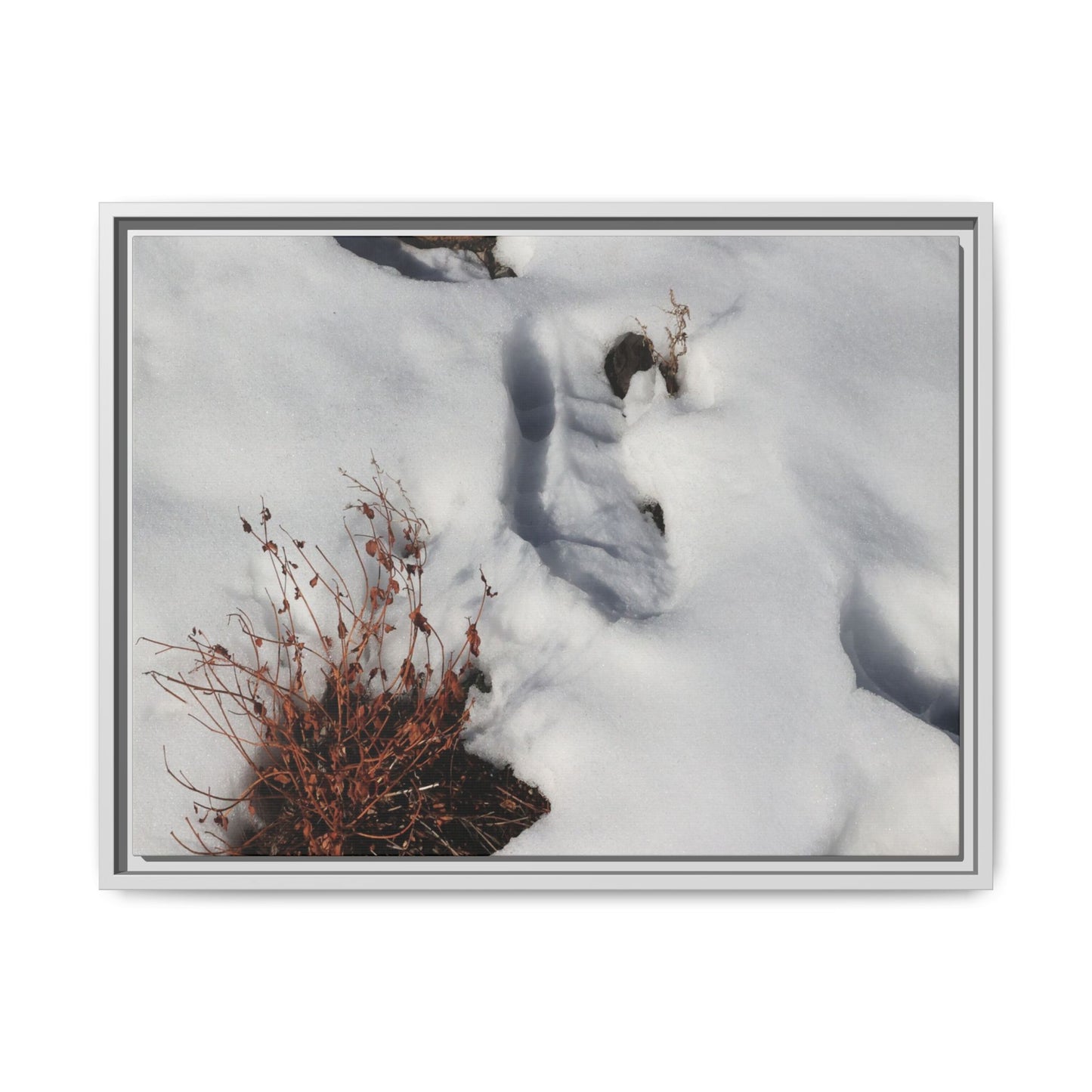 Frostbound Whispers - Unique Stretched Canvas Wall Art