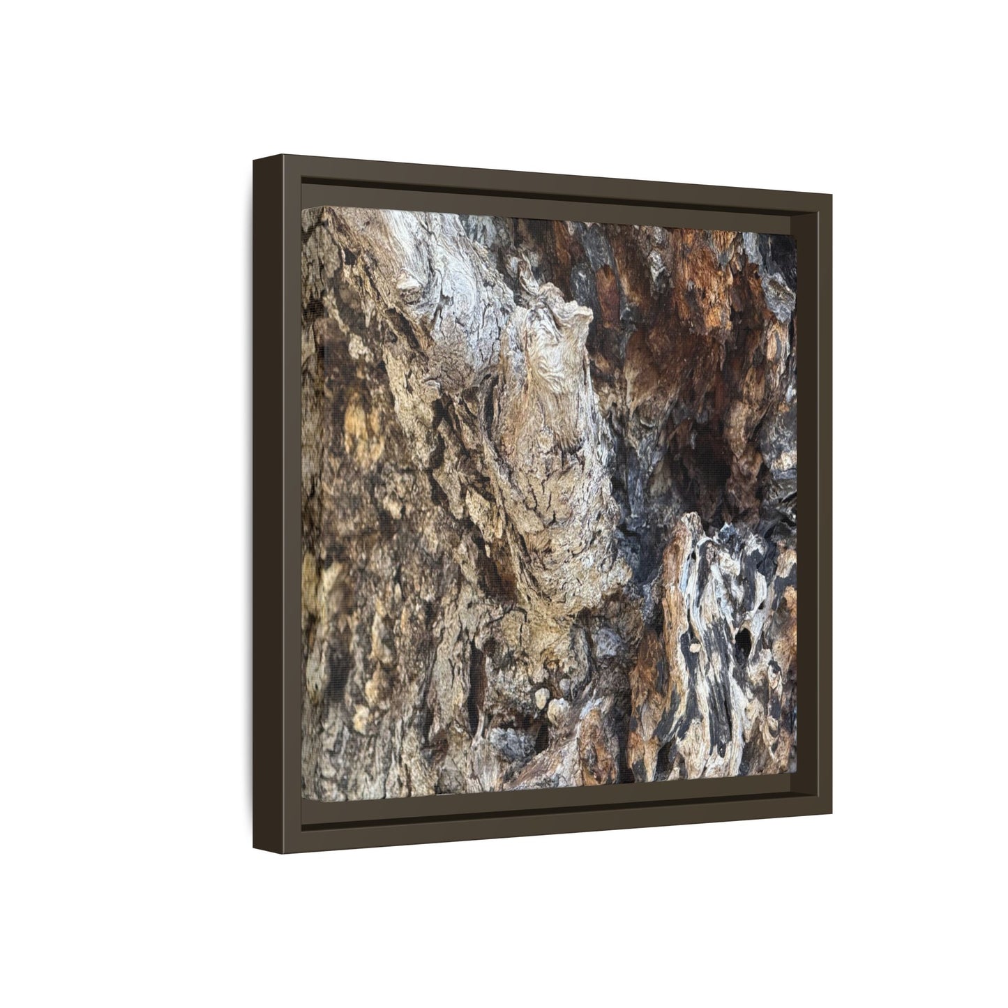 Ancient Tree Texture - Unique Stretched Canvas Wall Art - Art By Earth