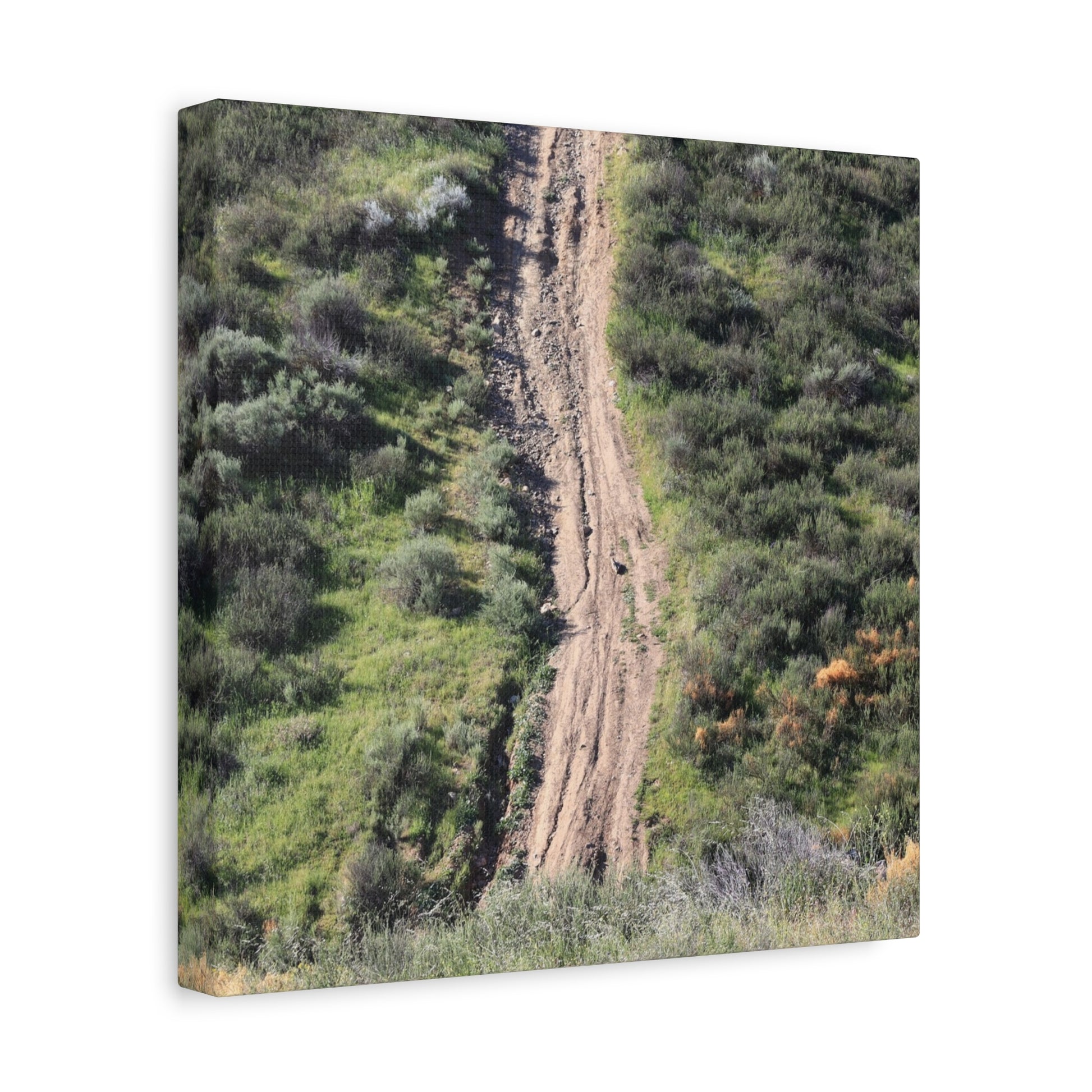 Straight Road Cutting Through Wilderness - Unique Frameless Canvas Wall Art - Art By Earth